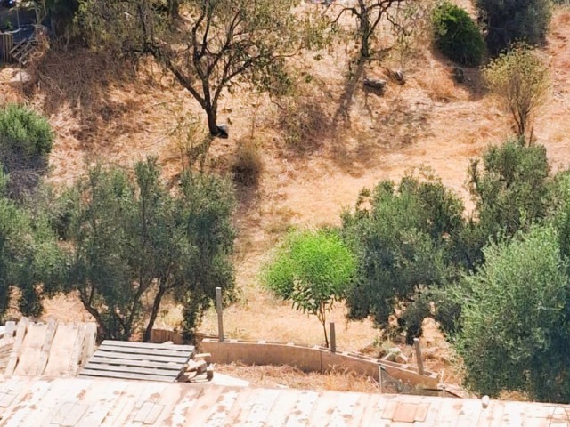 3 Bedrooms Villa in Marbella