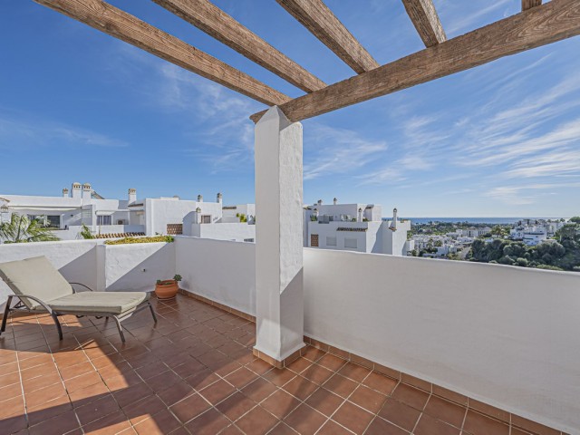 Penthouse i Selwo
