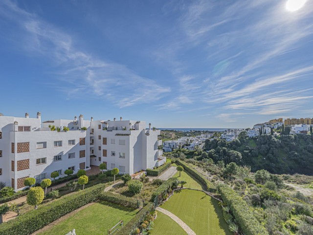 Penthouse i Selwo