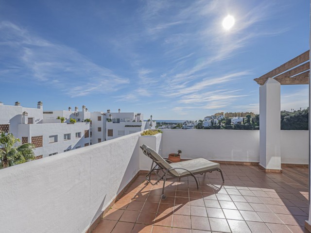 Penthouse i Selwo