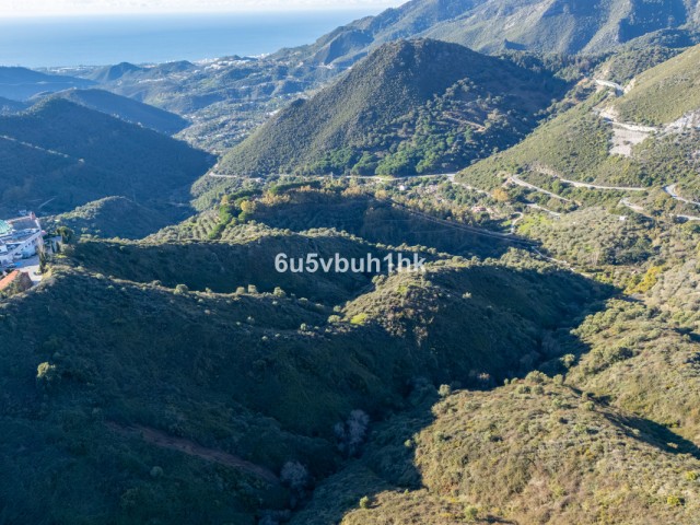  Parcelle à Ojén