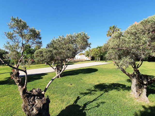 2 Slaapkamer Appartement in Benalmadena Costa