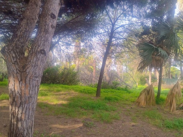 Tomt, Hacienda Las Chapas, R4802929