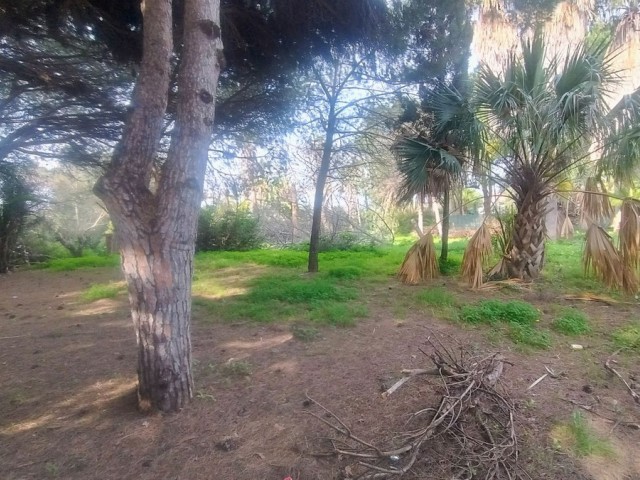 Grundstück, Hacienda Las Chapas, R4802929
