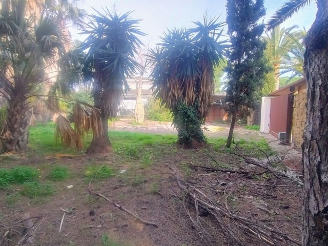 Grundstück, Hacienda Las Chapas, R4802929