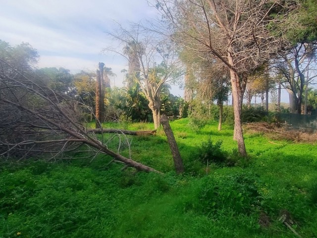 Grundstück, Hacienda Las Chapas, R4802929