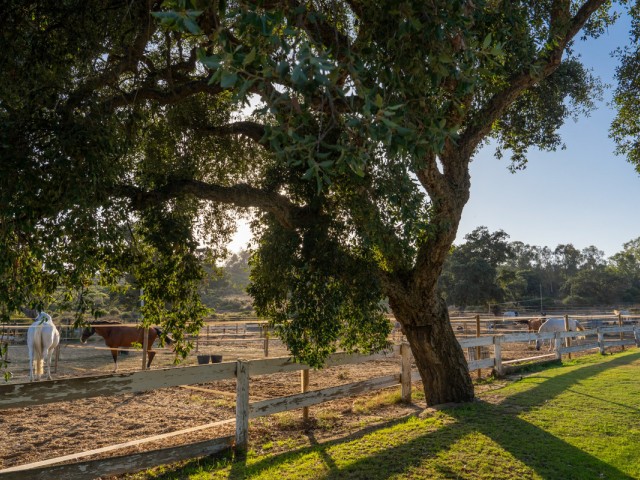 Tontti, San Roque Club, R5201941