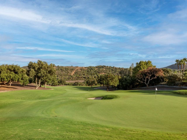 Parcelle, San Roque Club, R5201941