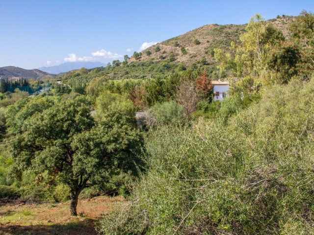  Grundstück in Los Almendros