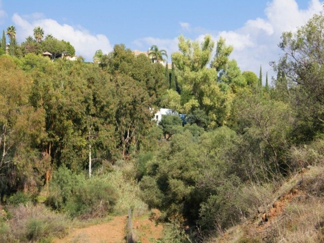  Grundstück in Los Almendros