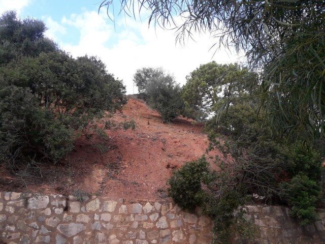 Grundstück, Las Chapas, R5311849