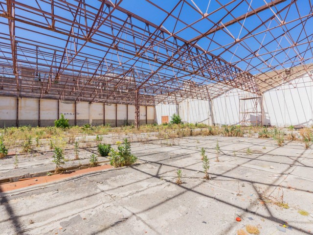 Kommerziell, La Colina, R5274619