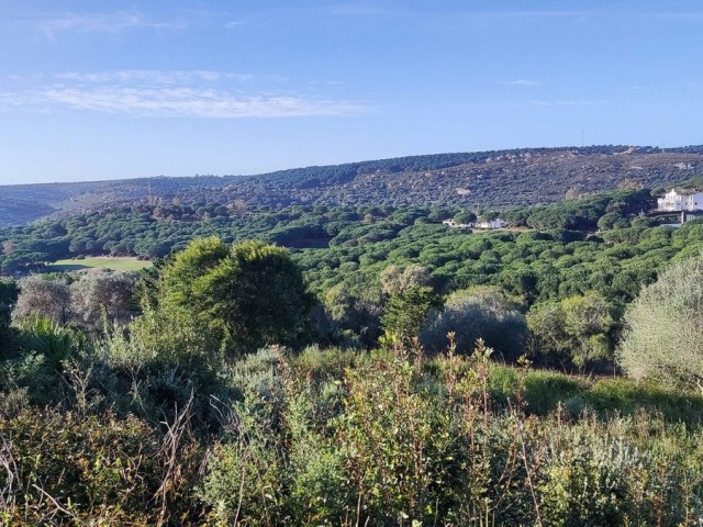 Plot Sotogrande - R5315077