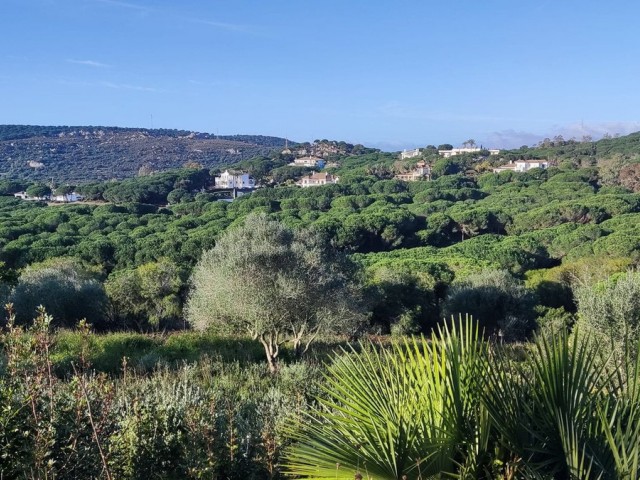  Plot in Sotogrande