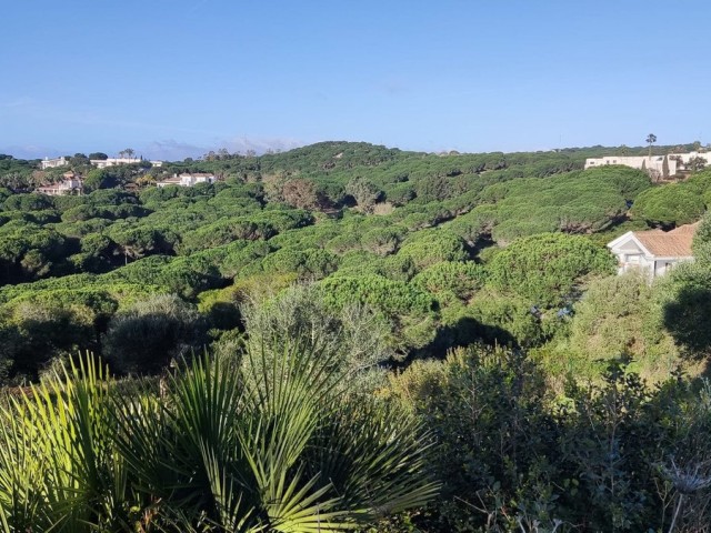  Plot in Sotogrande