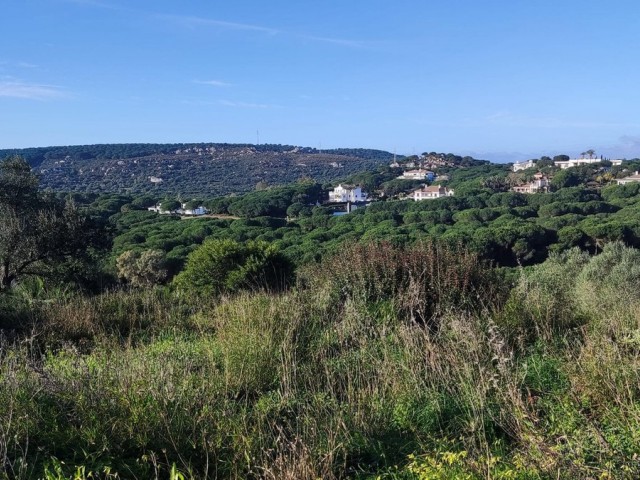 Plot in Sotogrande