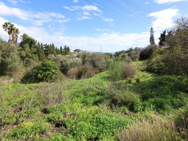  Plot in Mijas
