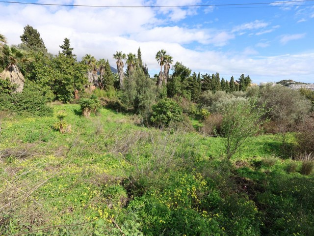  Plot in Mijas