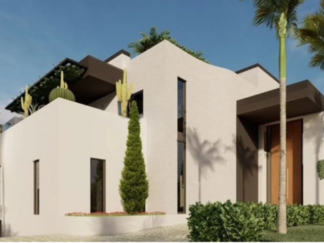  Plot in El Rosario