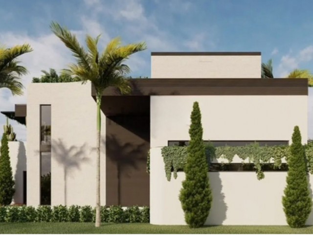  Plot in El Rosario