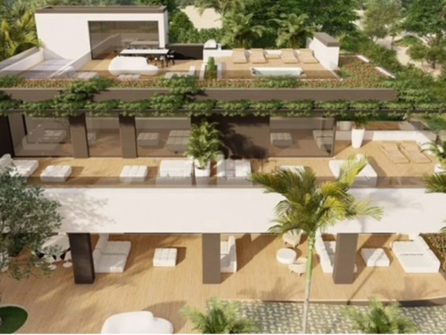  Plot in El Rosario