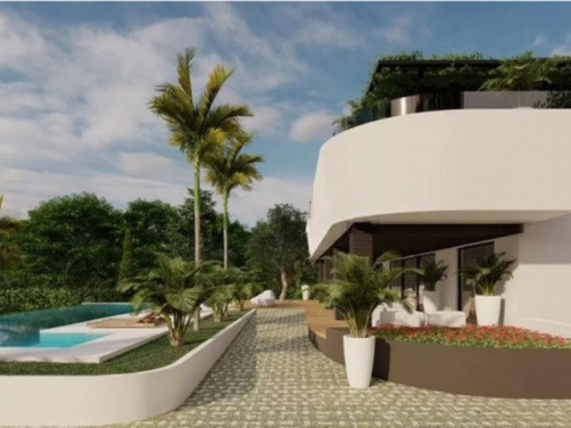  Plot in El Rosario