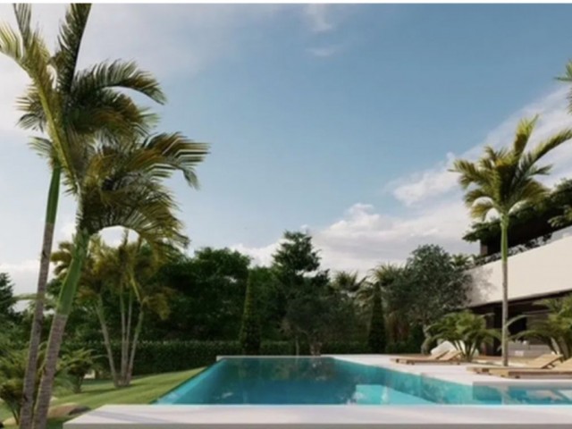  Plot in El Rosario