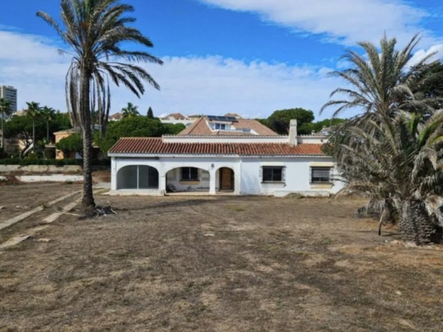  Plot in El Rosario