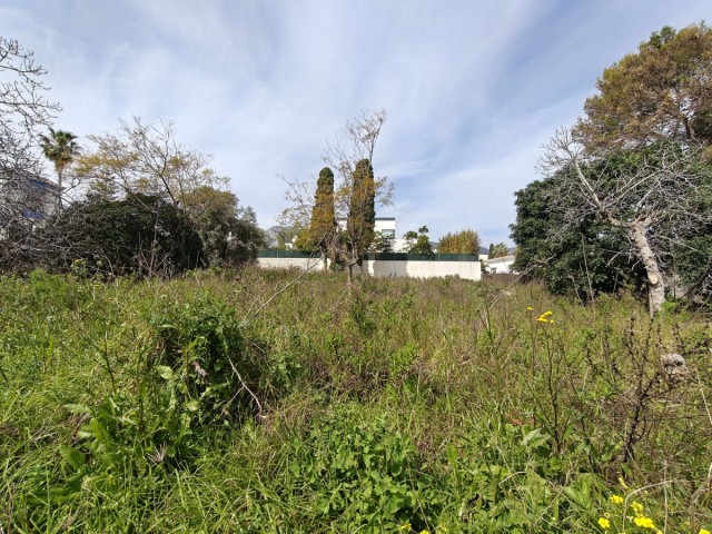  Plot in Arroyo de la Miel