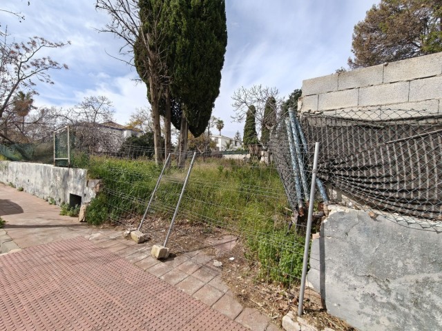  Plot in Arroyo de la Miel
