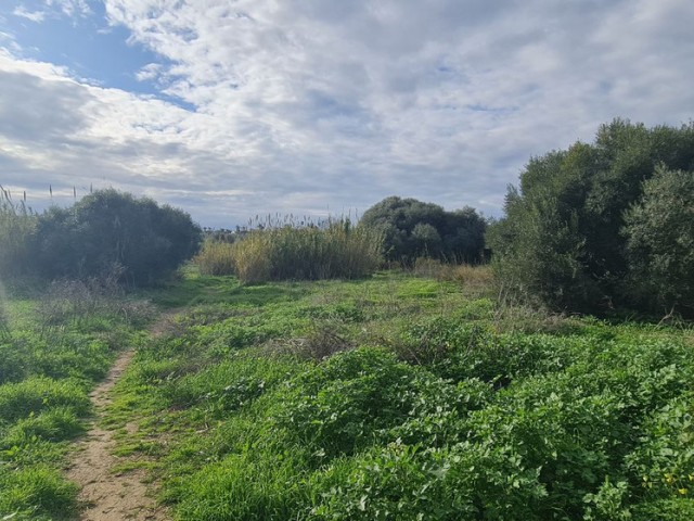 Parcelle, Campo Mijas, R5287228