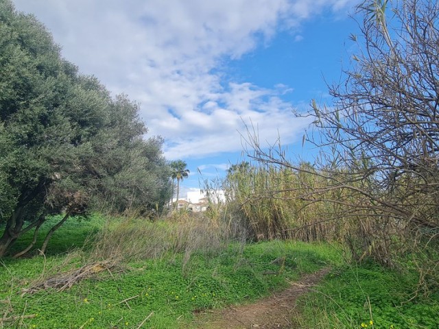 Parcelle, Campo Mijas, R5287228