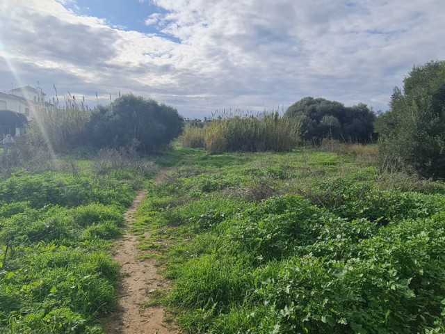 Parcelle, Campo Mijas, R5287228