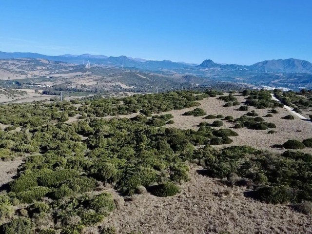 Plot, Sotogrande