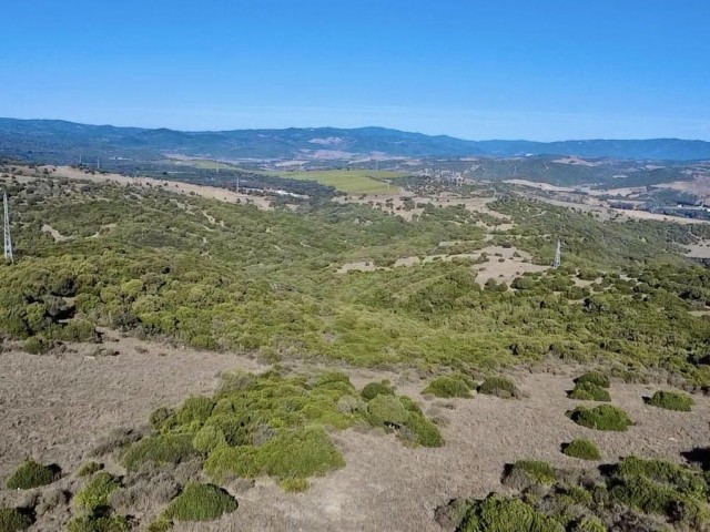  Plot in Sotogrande