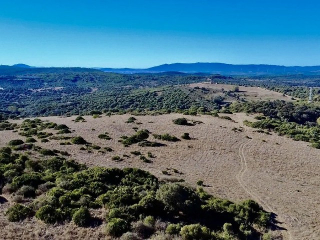  Plot in Sotogrande