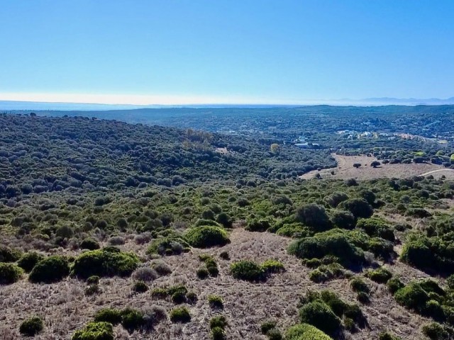  Plot in Sotogrande
