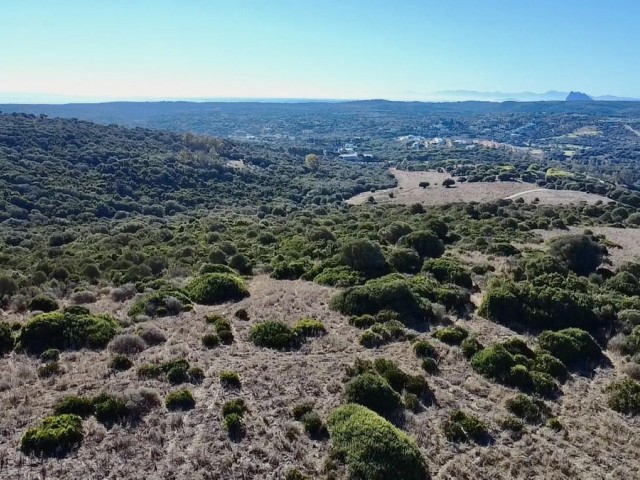  Plot in Sotogrande
