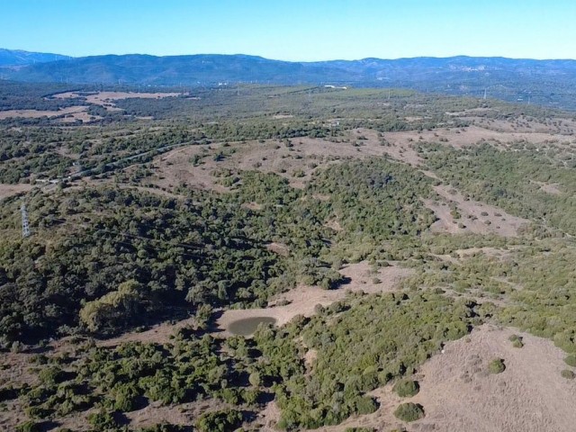  Plot in Sotogrande