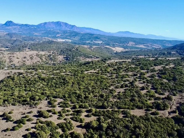  Plot in Sotogrande