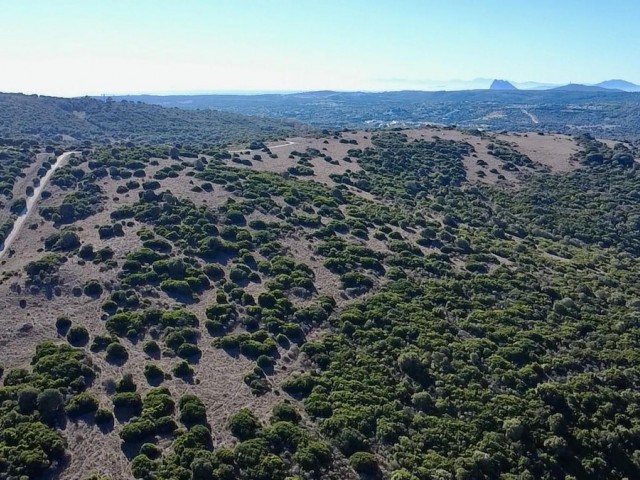  Plot in Sotogrande