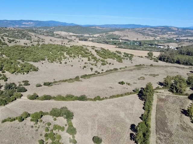  Plot in Sotogrande