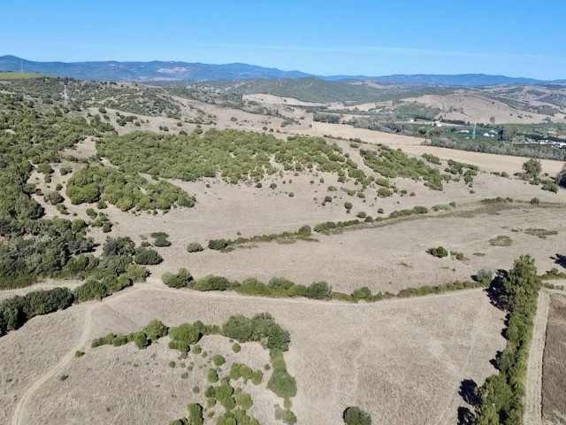  Plot in Sotogrande