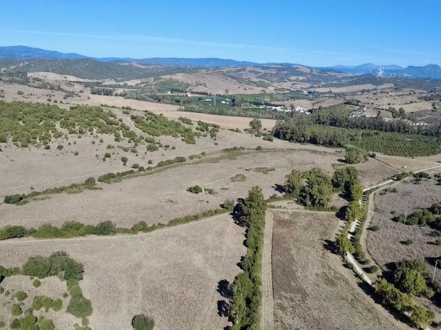  Plot in Sotogrande