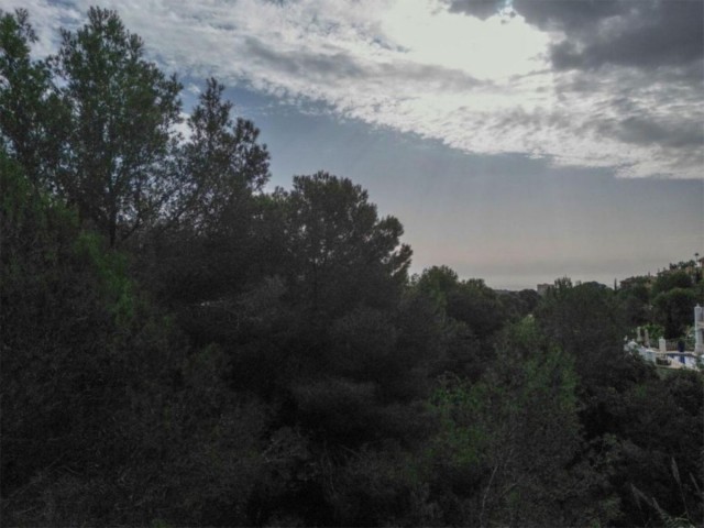  Plot in Elviria