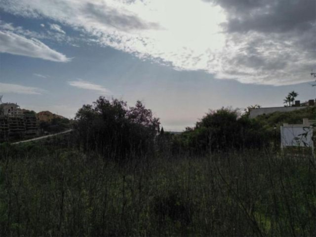 Plot in Elviria