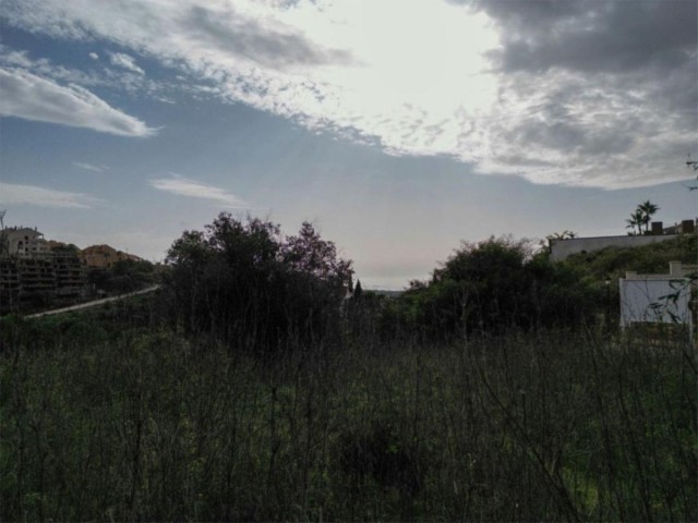  Plot in Elviria