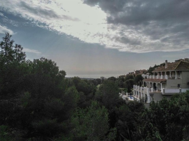  Plot in Elviria