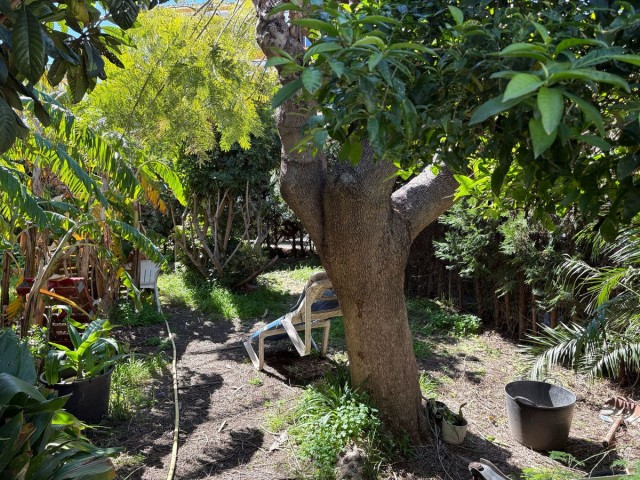 5 Bedrooms Townhouse in Estepona