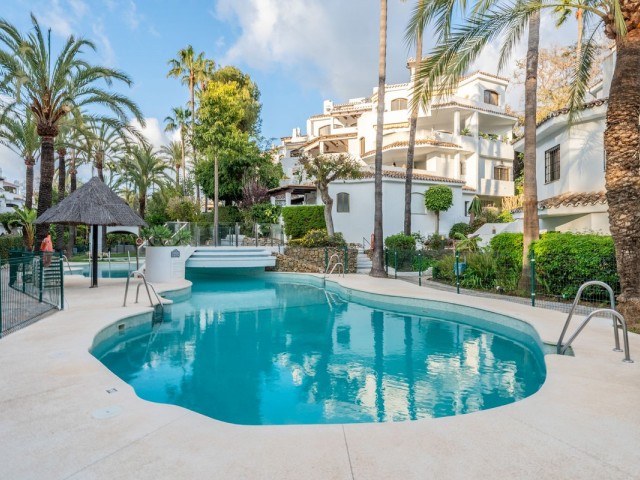 Penthouse, Elviria